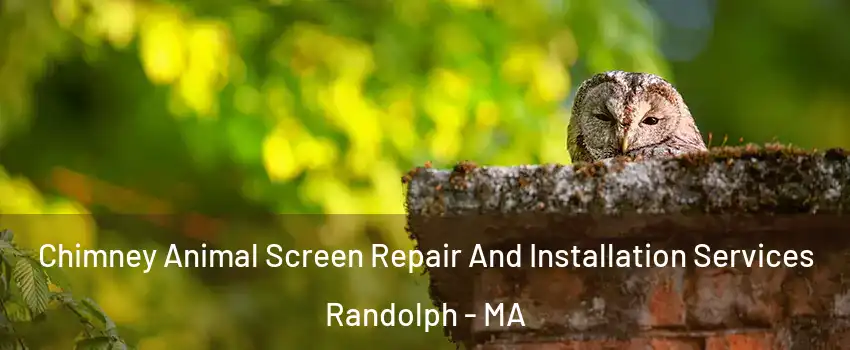  Chimney Animal Screen Repair And Installation Services Randolph - MA