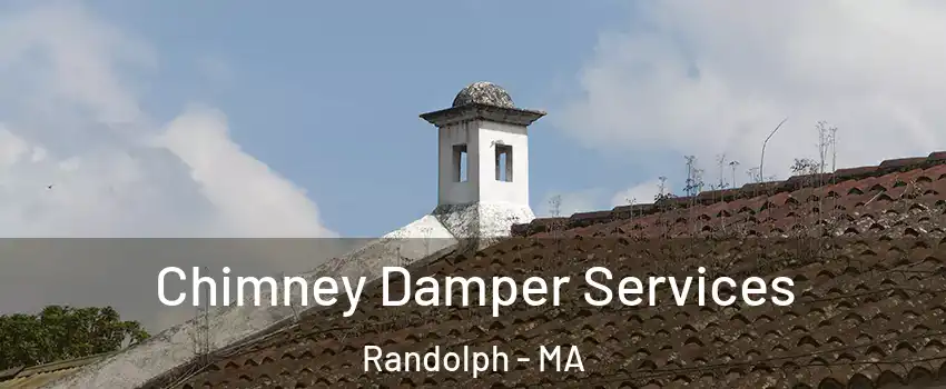  Chimney Damper Services Randolph - MA