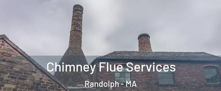  Chimney Flue Services Randolph - MA