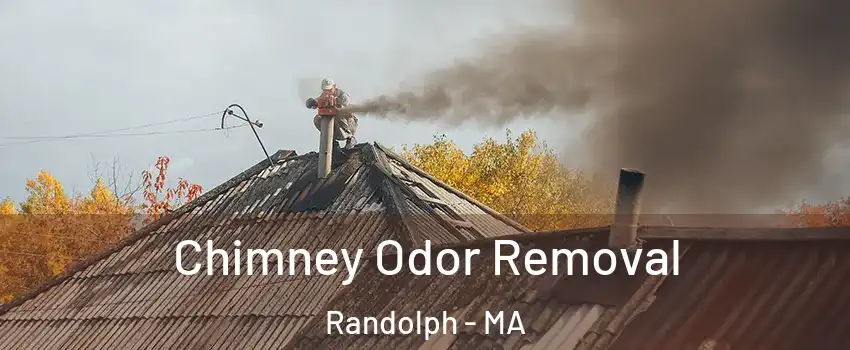  Chimney Odor Removal Randolph - MA