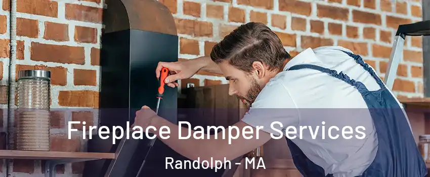  Fireplace Damper Services Randolph - MA