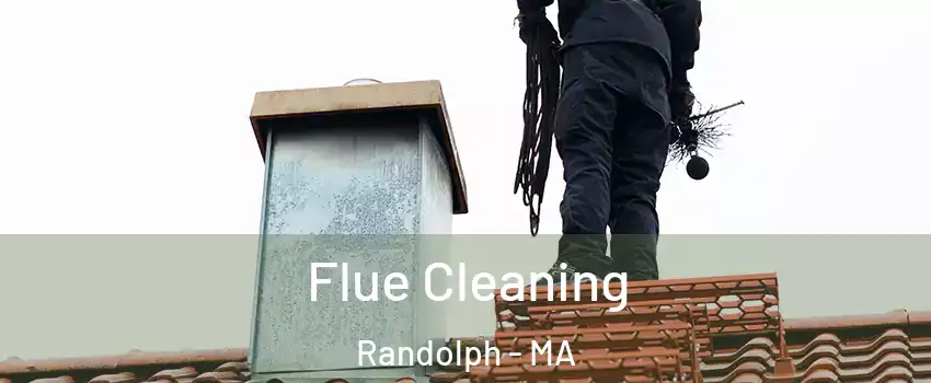  Flue Cleaning Randolph - MA