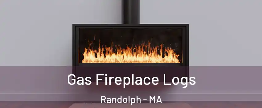  Gas Fireplace Logs Randolph - MA