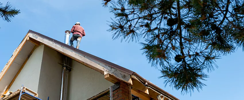 Birds Removal Contractors from Chimney in Randolph, MA